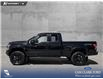 2019 Ford F-150 XLT (Stk: P1273) in Innisfail - Image 3 of 19