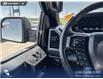 2019 Ford F-150 XLT (Stk: P1273) in Innisfail - Image 8 of 19
