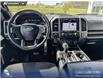 2019 Ford F-150 XLT (Stk: P1273) in Innisfail - Image 9 of 19