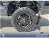 2019 Ford F-150 XLT (Stk: P1273) in Innisfail - Image 19 of 19