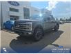 2024 Ford F-350 Platinum (Stk: P7119) in Olds - Image 1 of 5