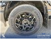 2026 Ford F-150 XLT (Stk: 26AT0785) in Airdrie - Image 6 of 25