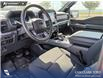2026 Ford F-150 XLT (Stk: 26AT0785) in Airdrie - Image 13 of 25