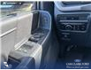 2026 Ford F-150 XLT (Stk: 26AT0785) in Airdrie - Image 17 of 25