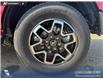 2026 Ford Bronco Outer Banks (Stk: 26S6842) in Olds - Image 6 of 25