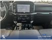 2023 Ford F-150 Tremor (Stk: P1266) in Innisfail - Image 11 of 17