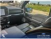 2023 Ford F-150 Tremor (Stk: P1266) in Innisfail - Image 14 of 17