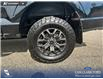 2023 Ford F-150 Tremor (Stk: P1266) in Innisfail - Image 17 of 17