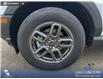 2026 Ford Bronco Sport Big Bend (Stk: 26S0516) in Olds - Image 6 of 25 2026 Ford Bronco Sport Big Bend (Stk: 26S0516) in Olds - Image 6 of 25