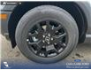 2026 Ford Bronco Sport Big Bend (Stk: 26S1385) in Olds - Image 6 of 25 2026 Ford Bronco Sport Big Bend (Stk: 26S1385) in Olds - Image 6 of 25