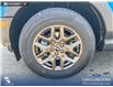 2026 Ford Bronco Sport Big Bend (Stk: 26S9894) in Olds - Image 6 of 25 2026 Ford Bronco Sport Big Bend (Stk: 26S9894) in Olds - Image 6 of 25