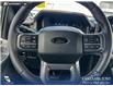 2026 Ford F-150 XLT (Stk: 26T0063) in Olds - Image 14 of 25
