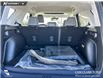 2025 Ford Bronco Sport Badlands (Stk: 25AS7803) in Airdrie - Image 12 of 25