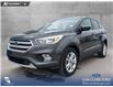 2019 Ford Escape SE (Stk: P7003) in Olds - Image 1 of 25