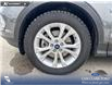 2019 Ford Escape SE (Stk: P7003) in Olds - Image 6 of 25
