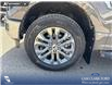 2026 Ford F-150 XLT (Stk: 26T0776) in Red Deer - Image 6 of 24