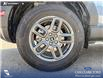 2026 Ford Bronco Sport Big Bend (Stk: 26S6104) in Olds - Image 6 of 25 2026 Ford Bronco Sport Big Bend (Stk: 26S6104) in Olds - Image 6 of 25