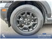 2026 Ford Bronco Sport Big Bend (Stk: 26AS4895) in Airdrie - Image 6 of 25