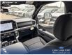 2026 Ford F-150 XLT (Stk: 26T2855) in Red Deer - Image 24 of 24 2026 Ford F-150 XLT (Stk: 26T2855) in Red Deer - Image 24 of 24