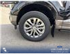 2026 Ford F-150 King Ranch (Stk: 26T1703) in Red Deer - Image 6 of 24