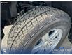 2023 Ford F-150 XLT (Stk: P1248) in Innisfail - Image 18 of 24
