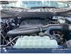 2023 Ford F-150 XLT (Stk: P1248) in Innisfail - Image 21 of 24