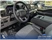 2023 Ford F-150 XLT (Stk: P1248) in Innisfail - Image 6 of 24