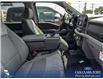 2023 Ford F-150 XLT (Stk: P1248) in Innisfail - Image 15 of 24