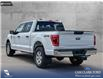 2023 Ford F-150 XLT (Stk: P1248) in Innisfail - Image 4 of 24