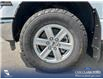 2023 Ford F-150 XLT (Stk: P1248) in Innisfail - Image 24 of 24