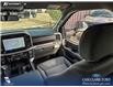 2026 Ford F-150 XLT (Stk: 26T6831) in Red Deer - Image 24 of 24