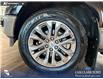 2025 Ford F-150 King Ranch (Stk: P15137) in Airdrie - Image 6 of 25