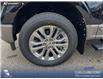 2026 Ford F-150 King Ranch (Stk: 26T1739) in Red Deer - Image 6 of 24 2026 Ford F-150 King Ranch (Stk: 26T1739) in Red Deer - Image 6 of 24
