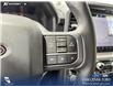 2026 Ford F-150 XLT (Stk: 26AT1913) in Airdrie - Image 16 of 25 2026 Ford F-150 XLT (Stk: 26AT1913) in Airdrie - Image 16 of 25