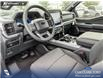 2026 Ford F-150 XLT (Stk: 26AT0267) in Airdrie - Image 13 of 25