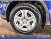 2015 Toyota RAV4 LE (Stk: P15302) in Airdrie - Image 6 of 25