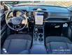 2026 Ford Ranger XLT (Stk: 26T2944) in Olds - Image 24 of 25 2026 Ford Ranger XLT (Stk: 26T2944) in Olds - Image 24 of 25