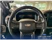 2022 Ford F-150 Platinum (Stk: P15132) in Airdrie - Image 14 of 25