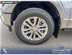 2026 Ford F-150 King Ranch (Stk: 26T1684A) in Red Deer - Image 6 of 24 2026 Ford F-150 King Ranch (Stk: 26T1684A) in Red Deer - Image 6 of 24