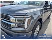 2026 Ford F-150 King Ranch (Stk: 26T1684A) in Red Deer - Image 8 of 24 2026 Ford F-150 King Ranch (Stk: 26T1684A) in Red Deer - Image 8 of 24