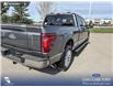 2026 Ford F-150 King Ranch (Stk: 26T1684A) in Red Deer - Image 11 of 24 2026 Ford F-150 King Ranch (Stk: 26T1684A) in Red Deer - Image 11 of 24