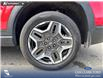 2022 Hyundai Santa Fe Urban (Stk: P1226) in Innisfail - Image 18 of 19