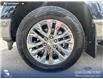 2025 Ford F-150 King Ranch (Stk: P7033) in Olds - Image 6 of 25 2025 Ford F-150 King Ranch (Stk: P7033) in Olds - Image 6 of 25