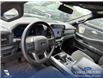 2024 Ford F-150 XLT (Stk: U38148) in Red Deer - Image 6 of 7