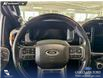 2023 Ford F-150 Tremor (Stk: P15184) in Airdrie - Image 14 of 25