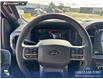 2026 Ford F-150 XLT (Stk: 26T7587) in Red Deer - Image 13 of 24