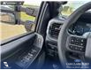 2026 Ford F-150 XLT (Stk: 26T6041) in Red Deer - Image 16 of 24