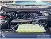 2026 Ford F-150 XLT (Stk: 26T0699) in Red Deer - Image 10 of 24