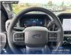2026 Ford F-150 XLT (Stk: 26T6455) in Red Deer - Image 13 of 24