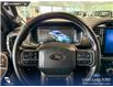 2024 Ford F-150 XLT (Stk: RC20222) in Airdrie - Image 14 of 25